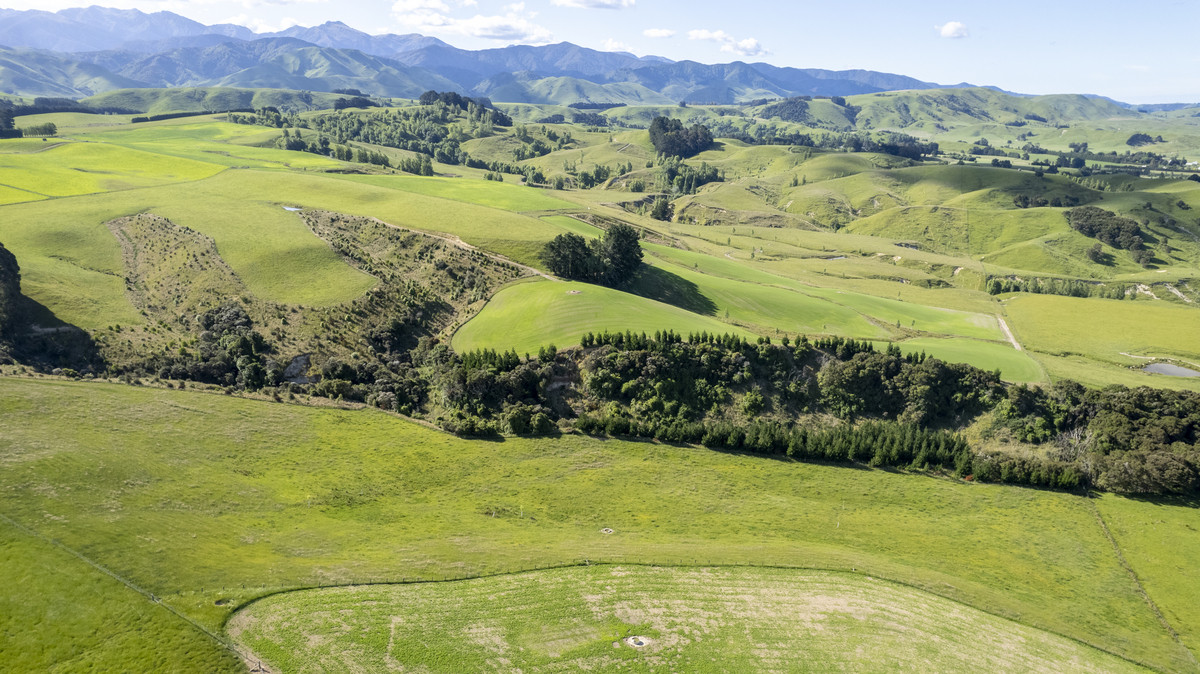 Hillview - Simply Outstanding - 170ha