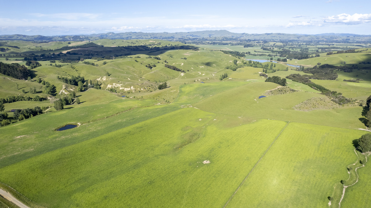 Hillview - Simply Outstanding - 170ha