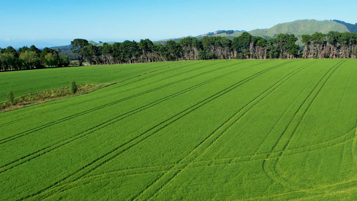 Hillview - Simply Outstanding - 170ha