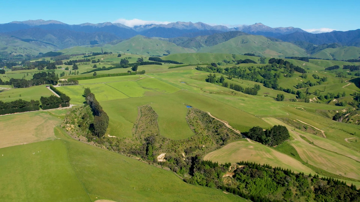 Hillview - Simply Outstanding - 170ha