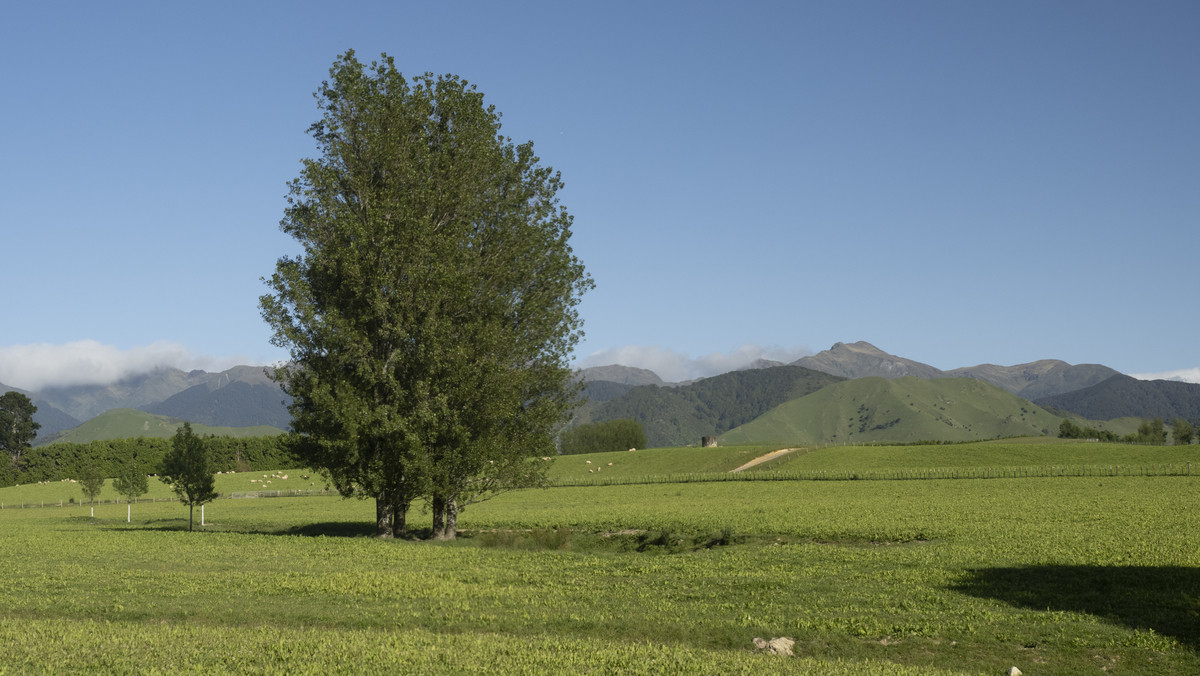 Hillview - Simply Outstanding - 170ha