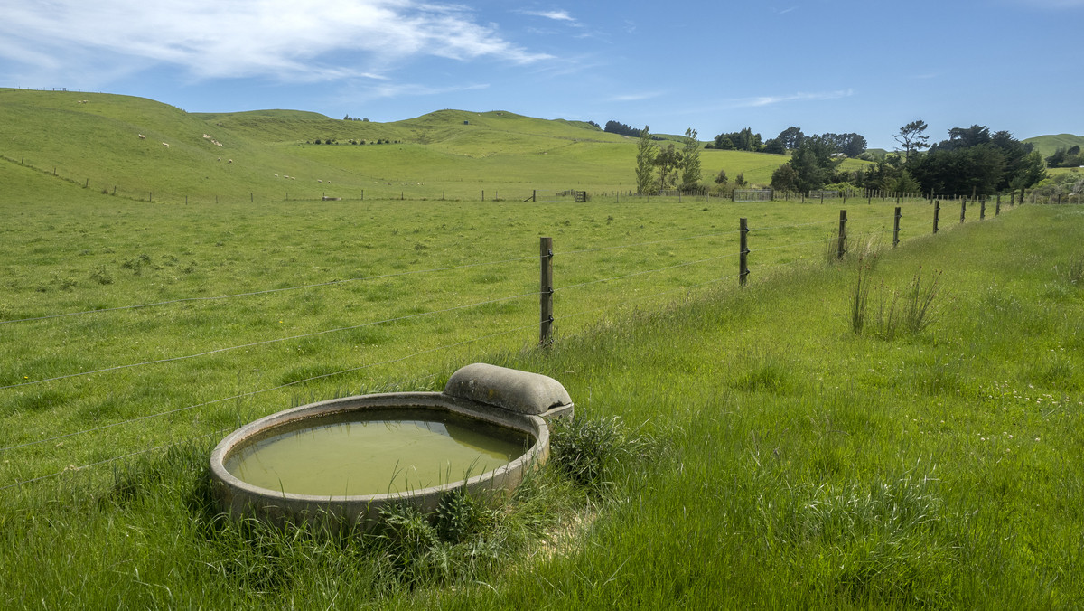 Tuturewa - Outstanding Infrastructure and Location