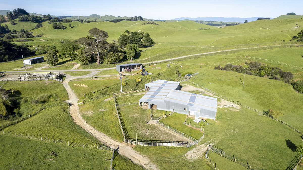 Tuturewa - Outstanding Infrastructure and Location