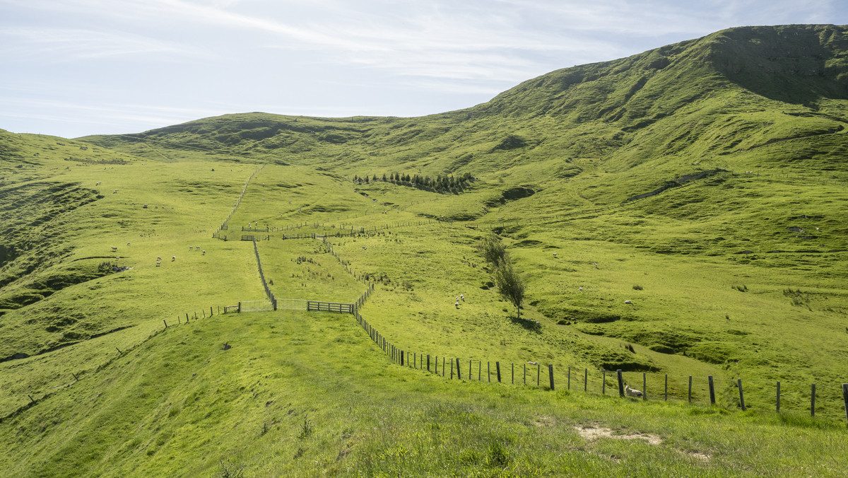 Tuturewa - Outstanding Infrastructure and Location