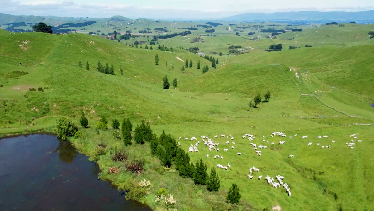 Tuturewa - Outstanding Infrastructure and Location