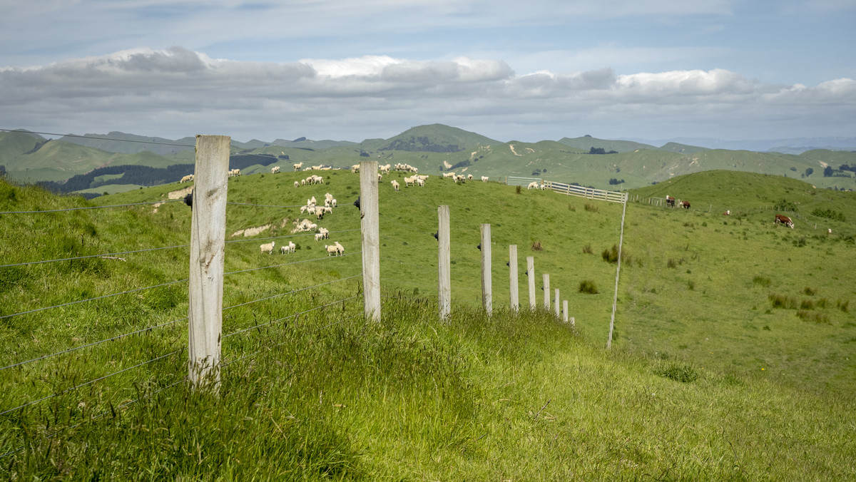 Tuturewa - Outstanding Infrastructure and Location