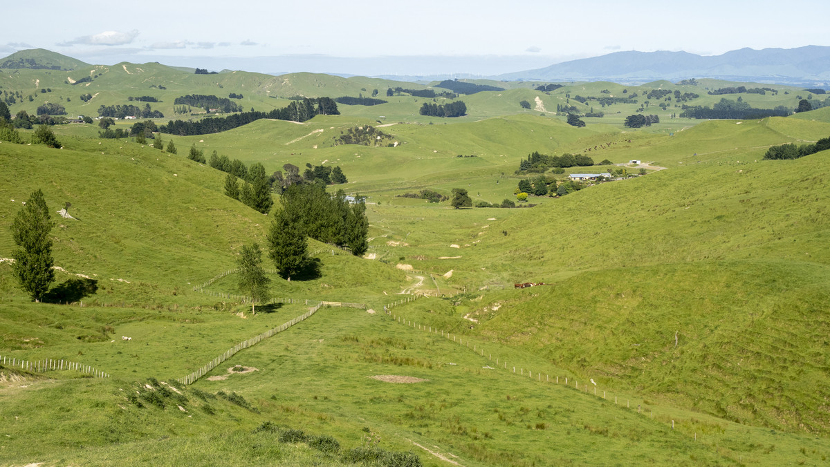 Tuturewa - Outstanding Infrastructure and Location