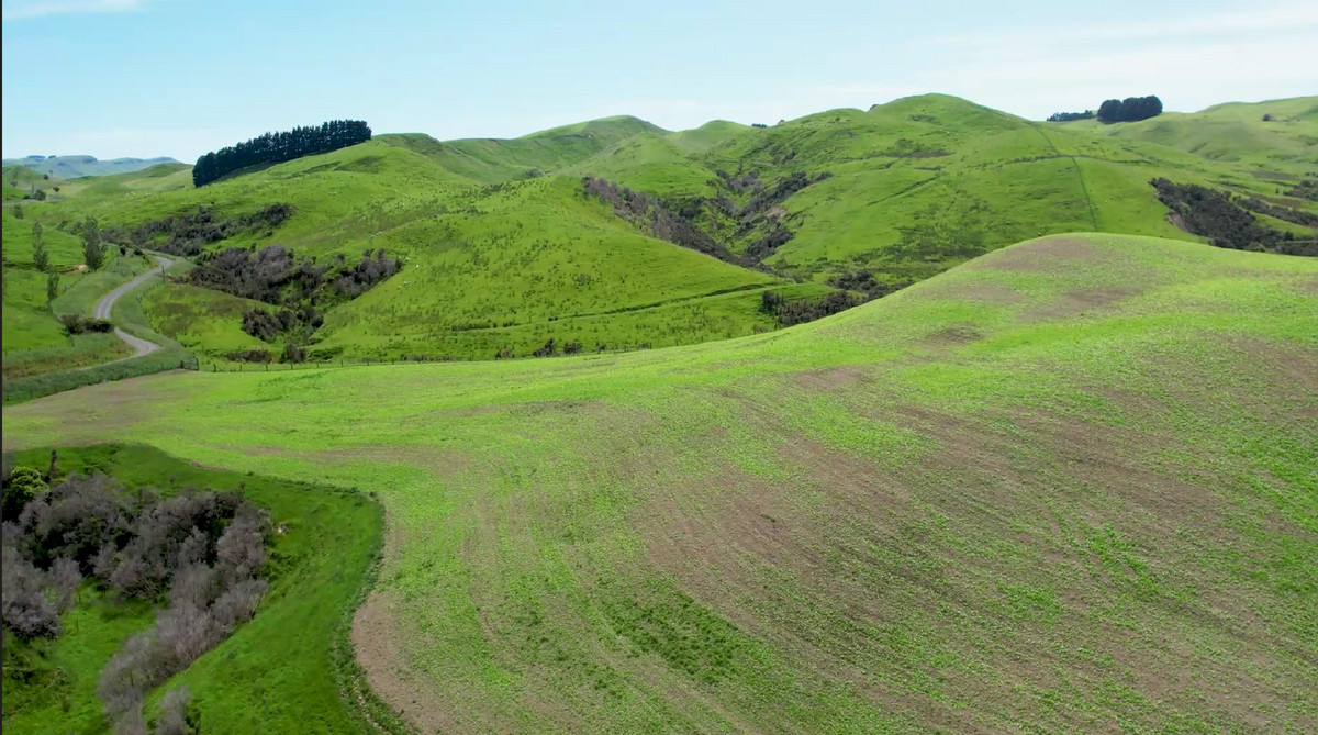 Tuturewa - Outstanding Infrastructure and Location