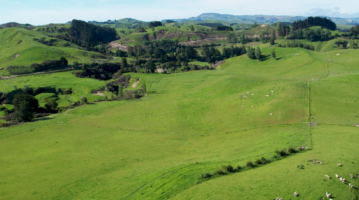 Tuturewa - Outstanding Infrastructure and Location