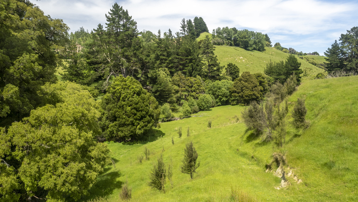 Tuturewa - Outstanding Infrastructure and Location