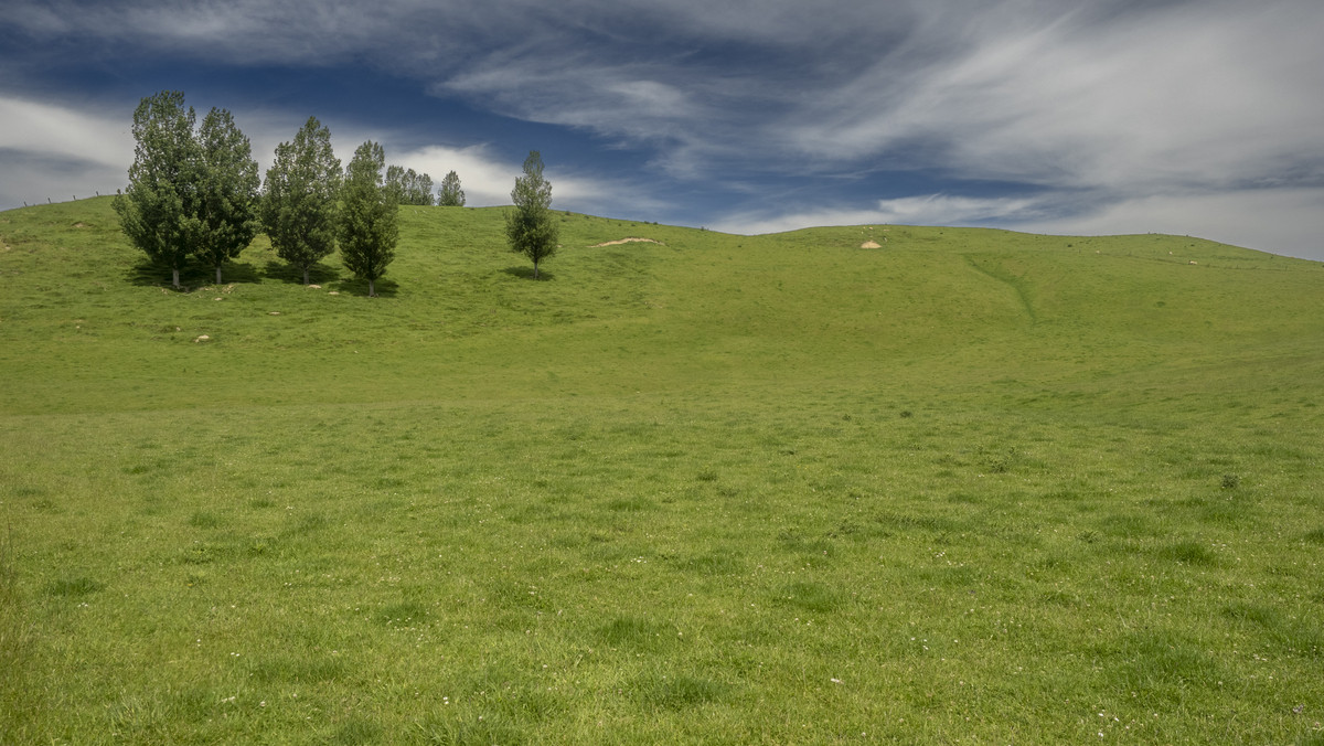 Tuturewa - Outstanding Infrastructure and Location