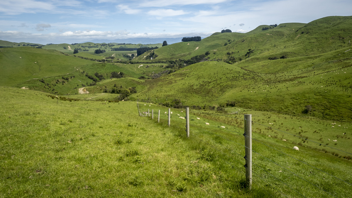 Tuturewa - Outstanding Infrastructure and Location