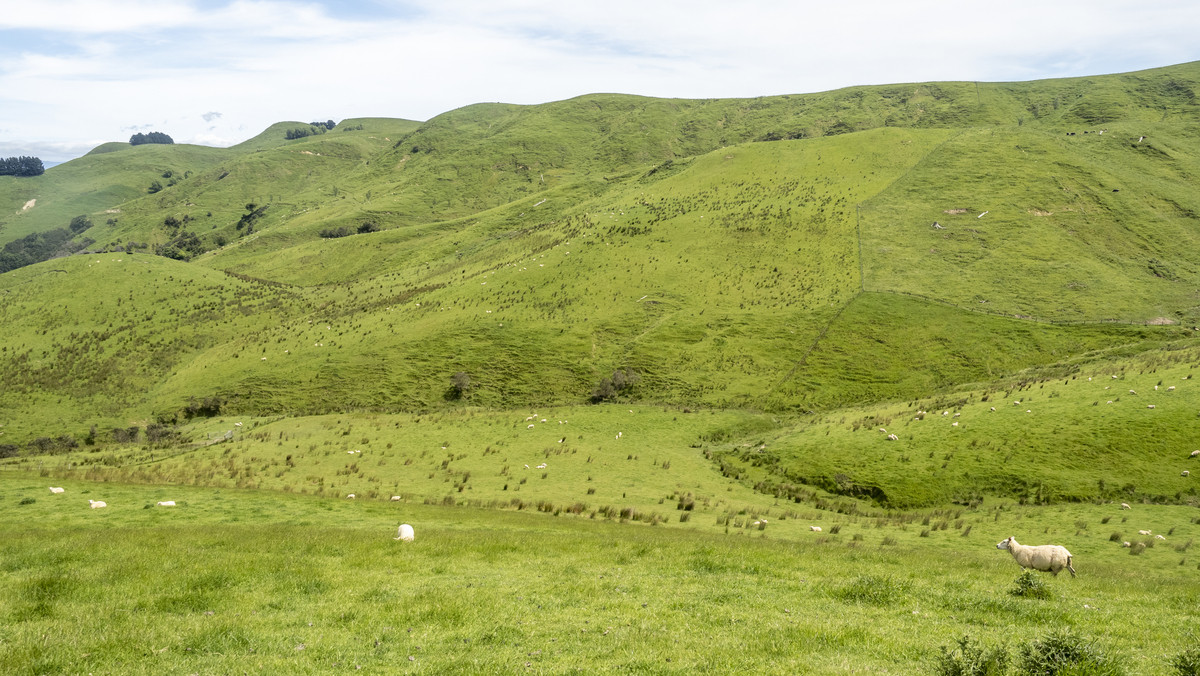 Tuturewa - Outstanding Infrastructure and Location