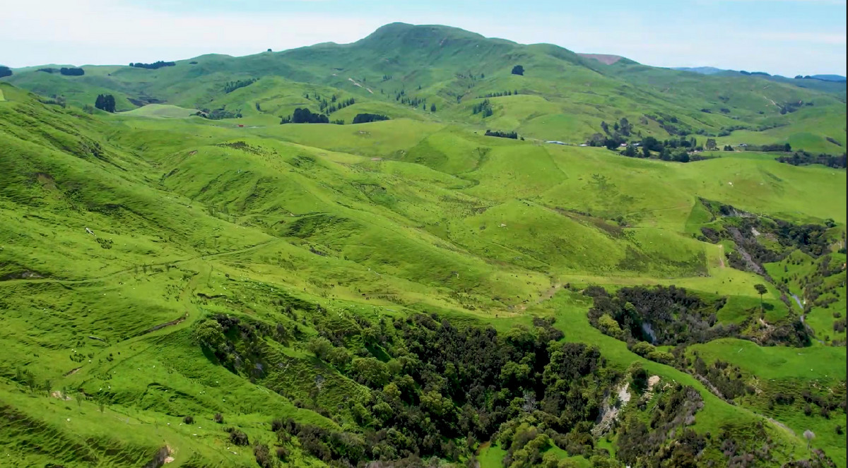 Tuturewa - Outstanding Infrastructure and Location