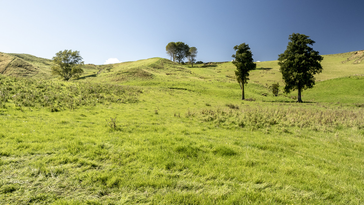 Karamu- Great Location, Outstanding Contour -248ha