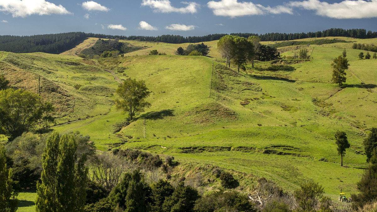 Karamu- Great Location, Outstanding Contour -248ha