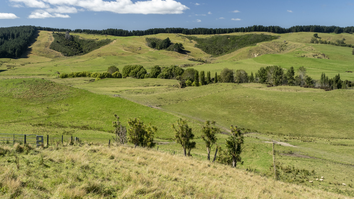 Karamu- Great Location, Outstanding Contour -248ha