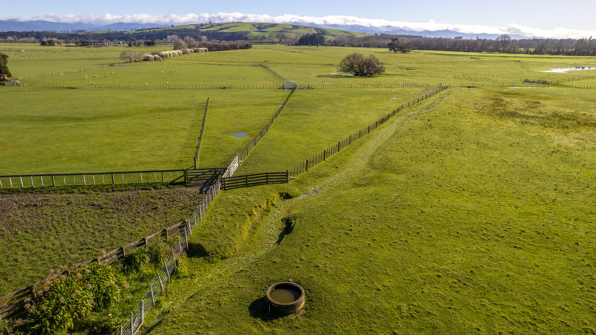 Ideal Small Farm Opportunity with Options