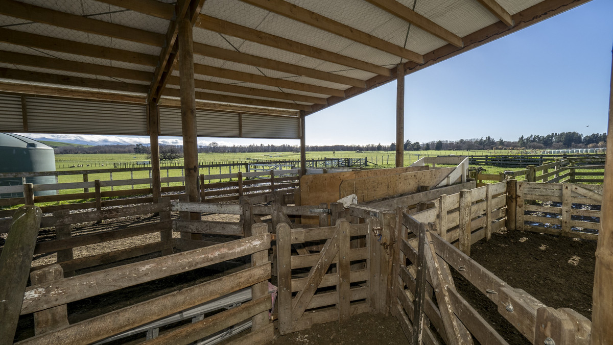Ideal Small Farm Opportunity with Options