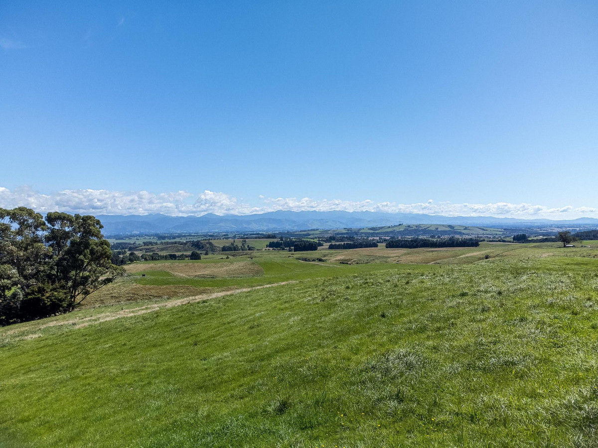 Ranginui - Land For All