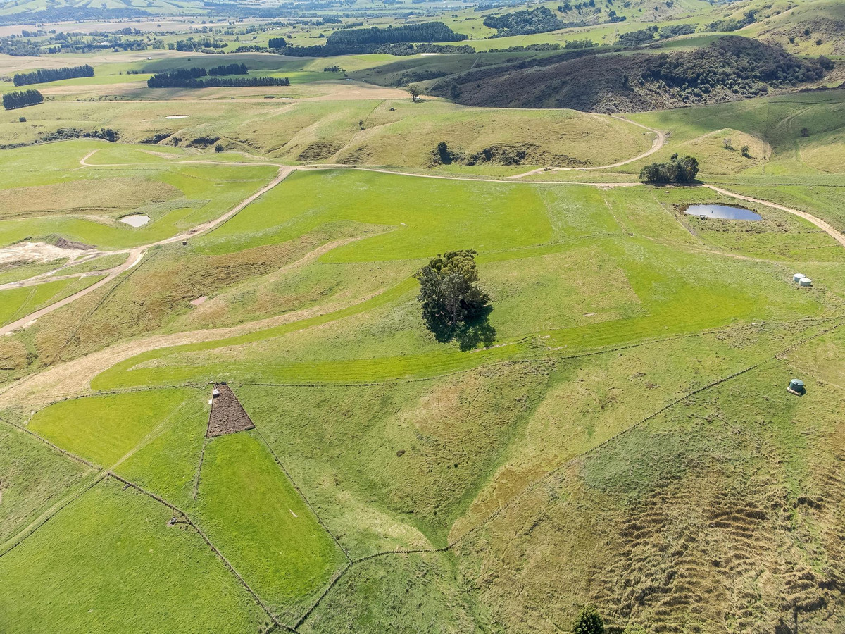 Ranginui - Land For All