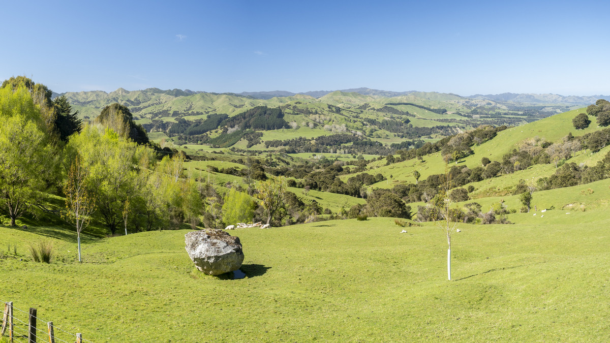 Te Wera - Where Potential Meets Appeal -594ha