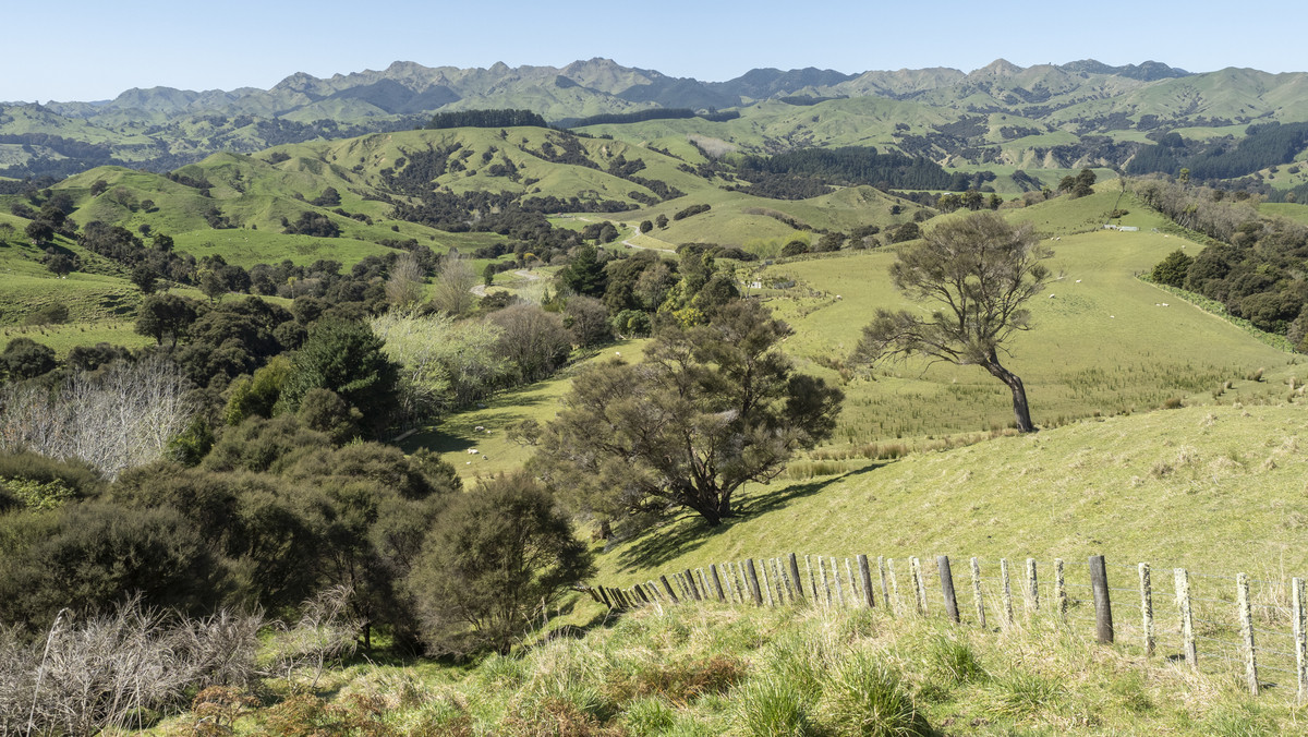 Te Wera - Where Potential Meets Appeal -594ha