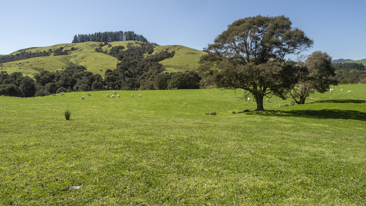 Te Wera - Where Potential Meets Appeal -594ha