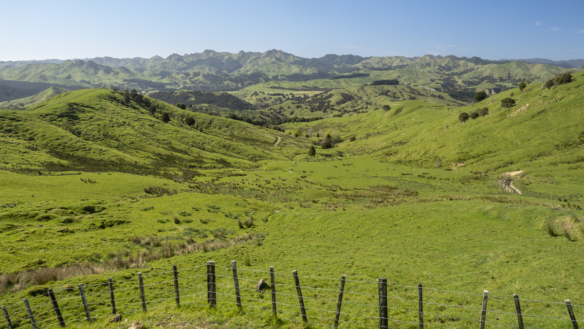 Te Wera - Where Potential Meets Appeal -594ha