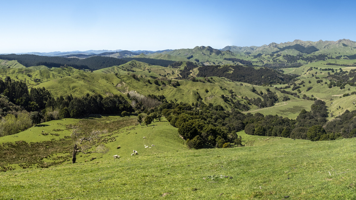 Te Wera - Where Potential Meets Appeal -594ha