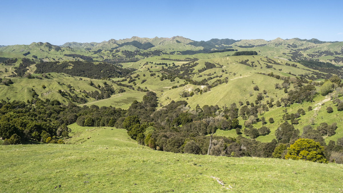 Te Wera - Where Potential Meets Appeal -594ha