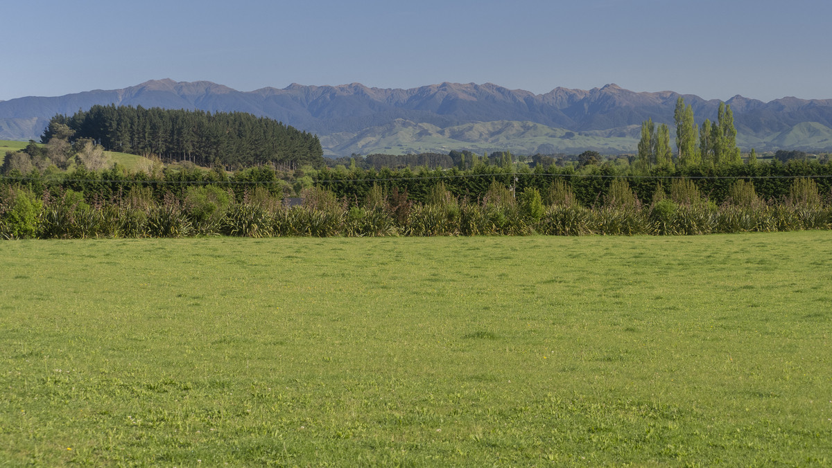 Great Buying in Sought-After Gladstone
