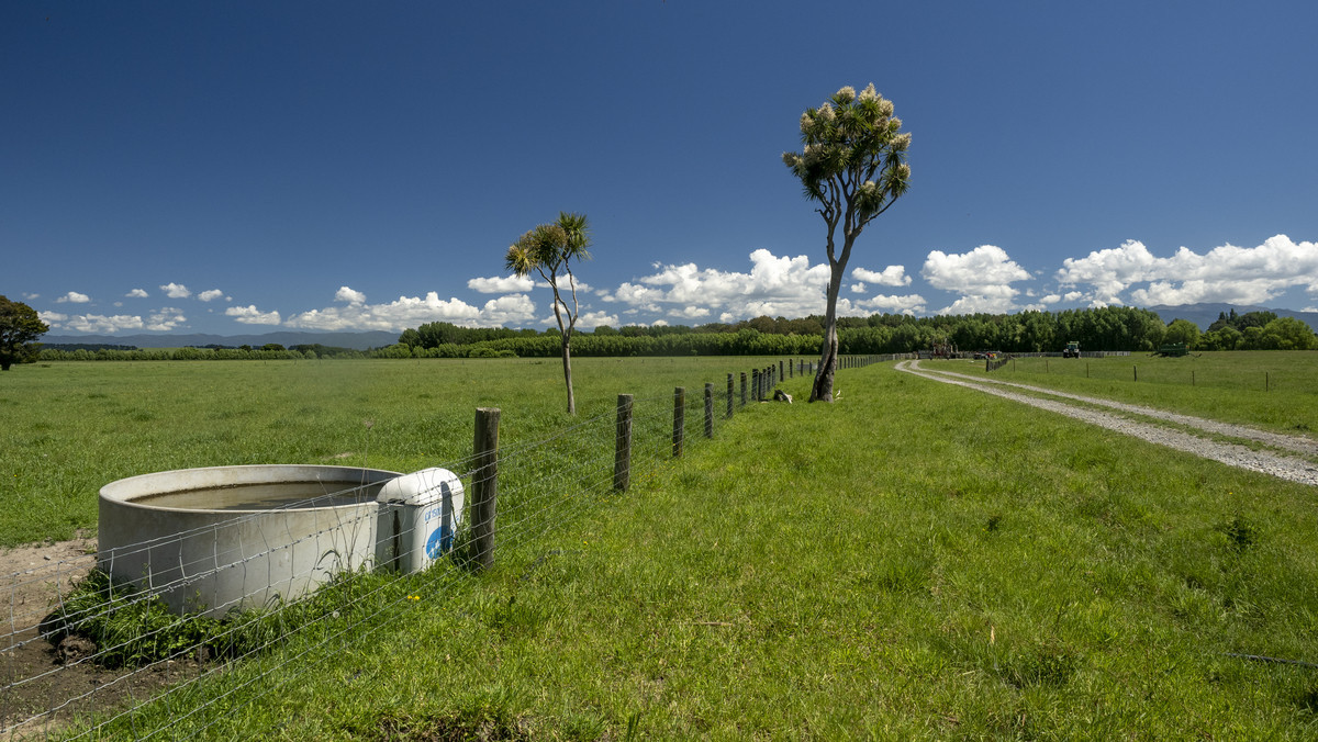 Sought After Silts & Irrigated - 75ha