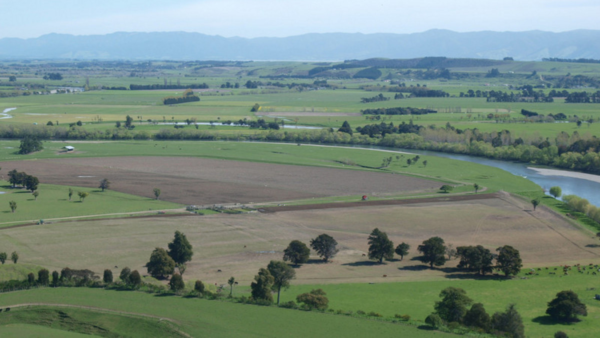 Sought After Silts & Irrigated - 75ha