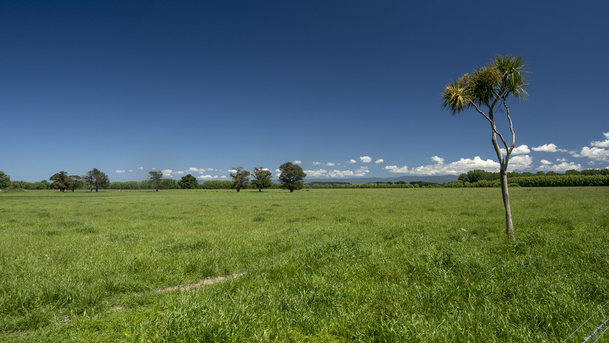 Sought After Silts & Irrigated - 75ha