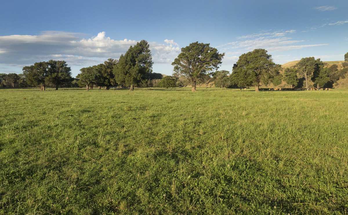 Sought After Silts & Irrigated - 75ha