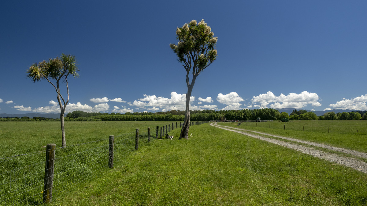 Sought After Silts & Irrigated - 75ha