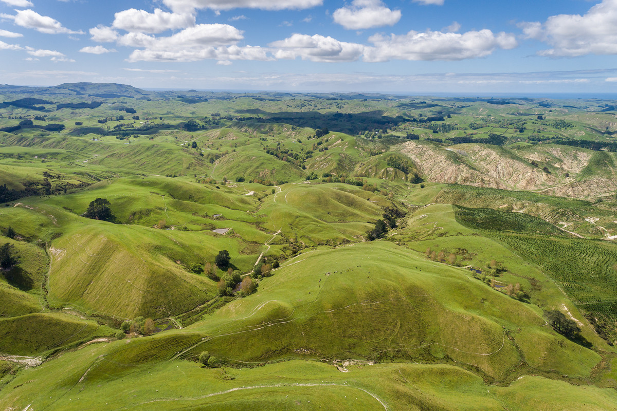 329 ha on Te Awa Road - UNDER CONTRACT