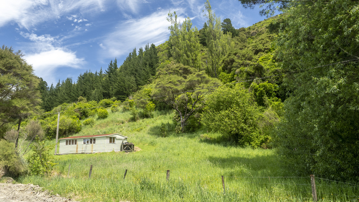 River View Bush Haven Within Easy Commute