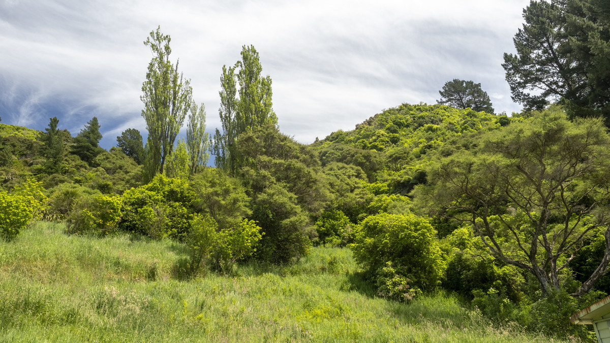 River View Bush Haven Within Easy Commute