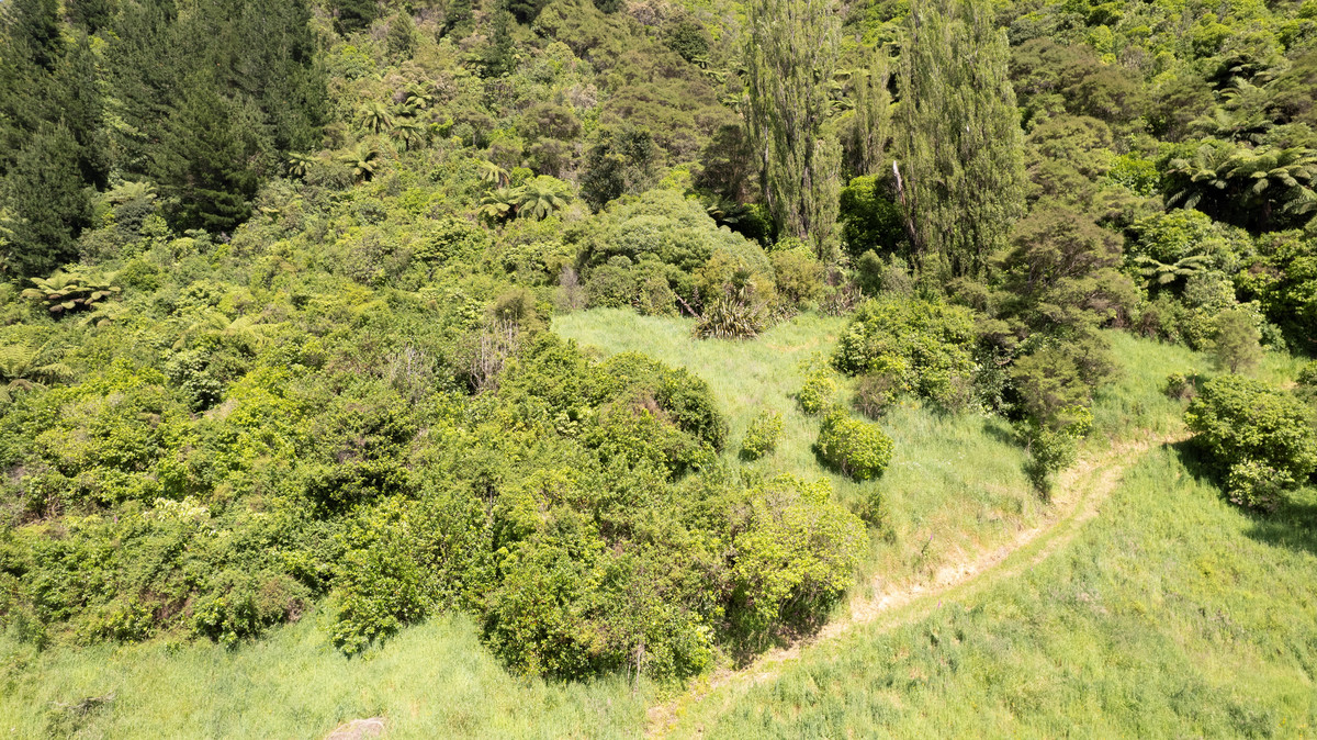 River View Bush Haven Within Easy Commute