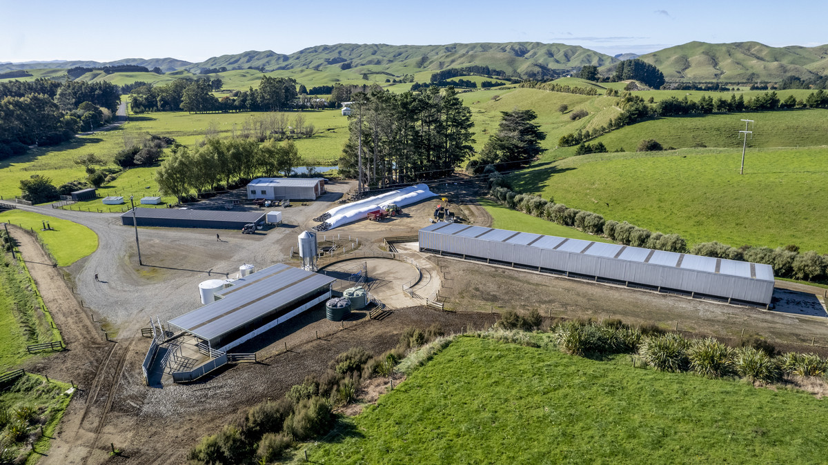 High Quality and Real Value - 117ha Dairy Unit