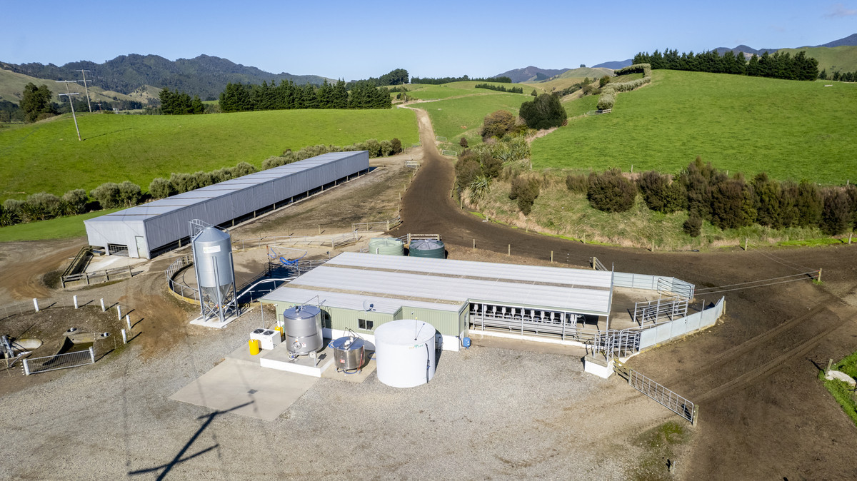 High Quality and Real Value - 117ha Dairy Unit