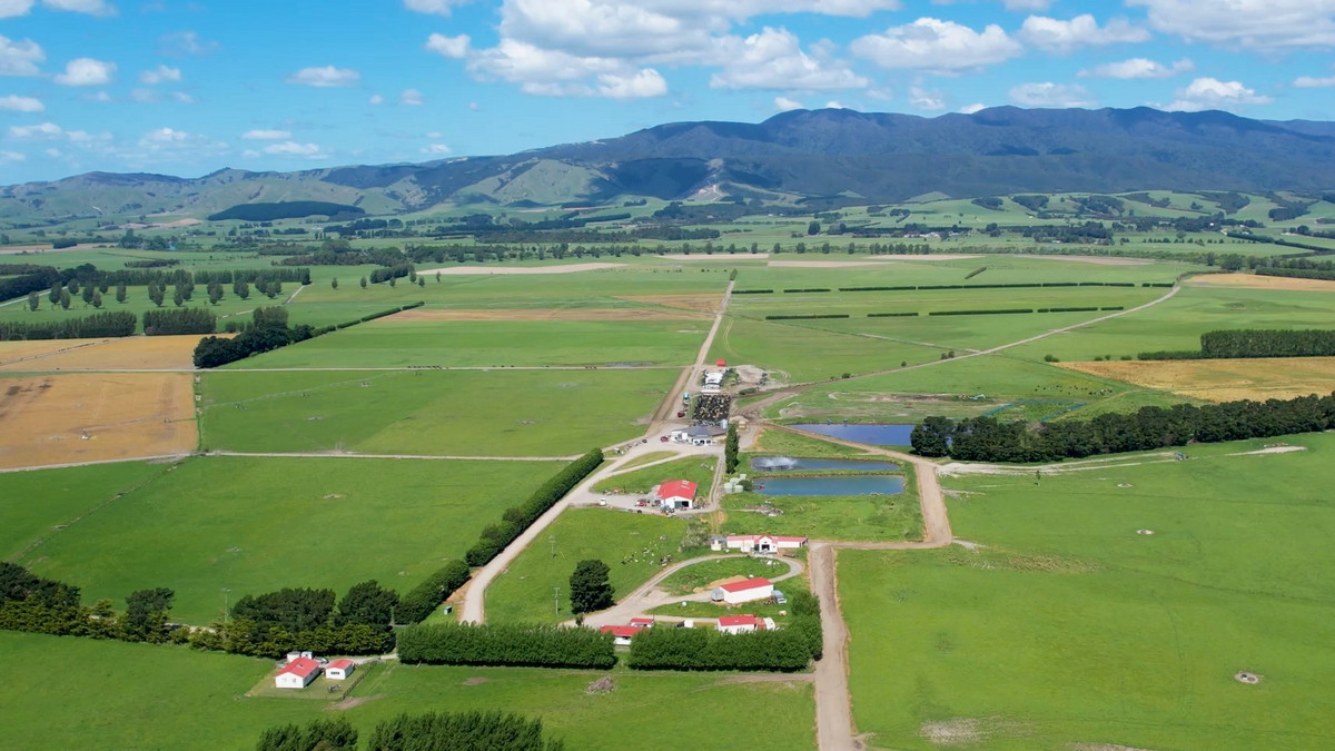 Irrigated Dairy Farm - Outstanding Infrastructure
