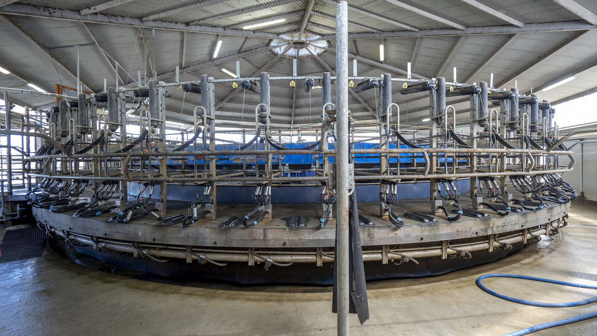 Irrigated Dairy Farm - Outstanding Infrastructure