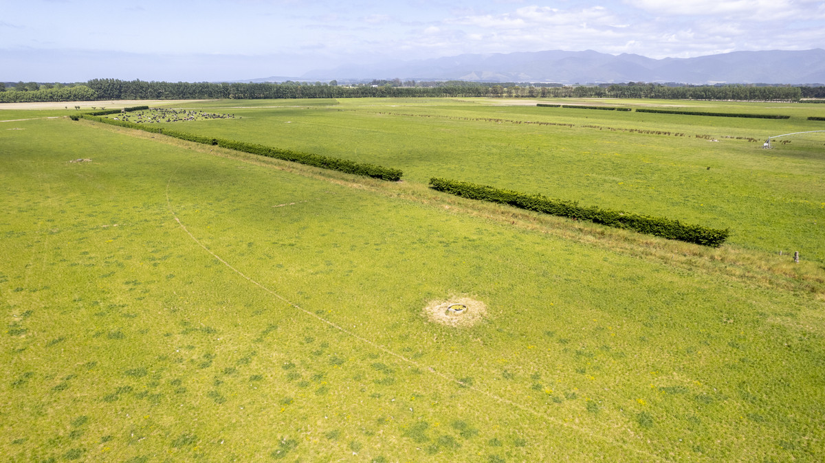 Irrigated Runoff Opportunity with Dairy Credentials - 151ha (STFS)