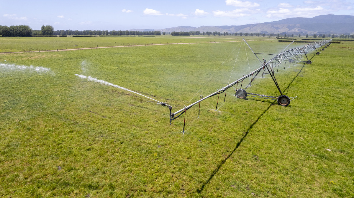 Irrigated Runoff Opportunity with Dairy Credentials - 151ha (STFS)