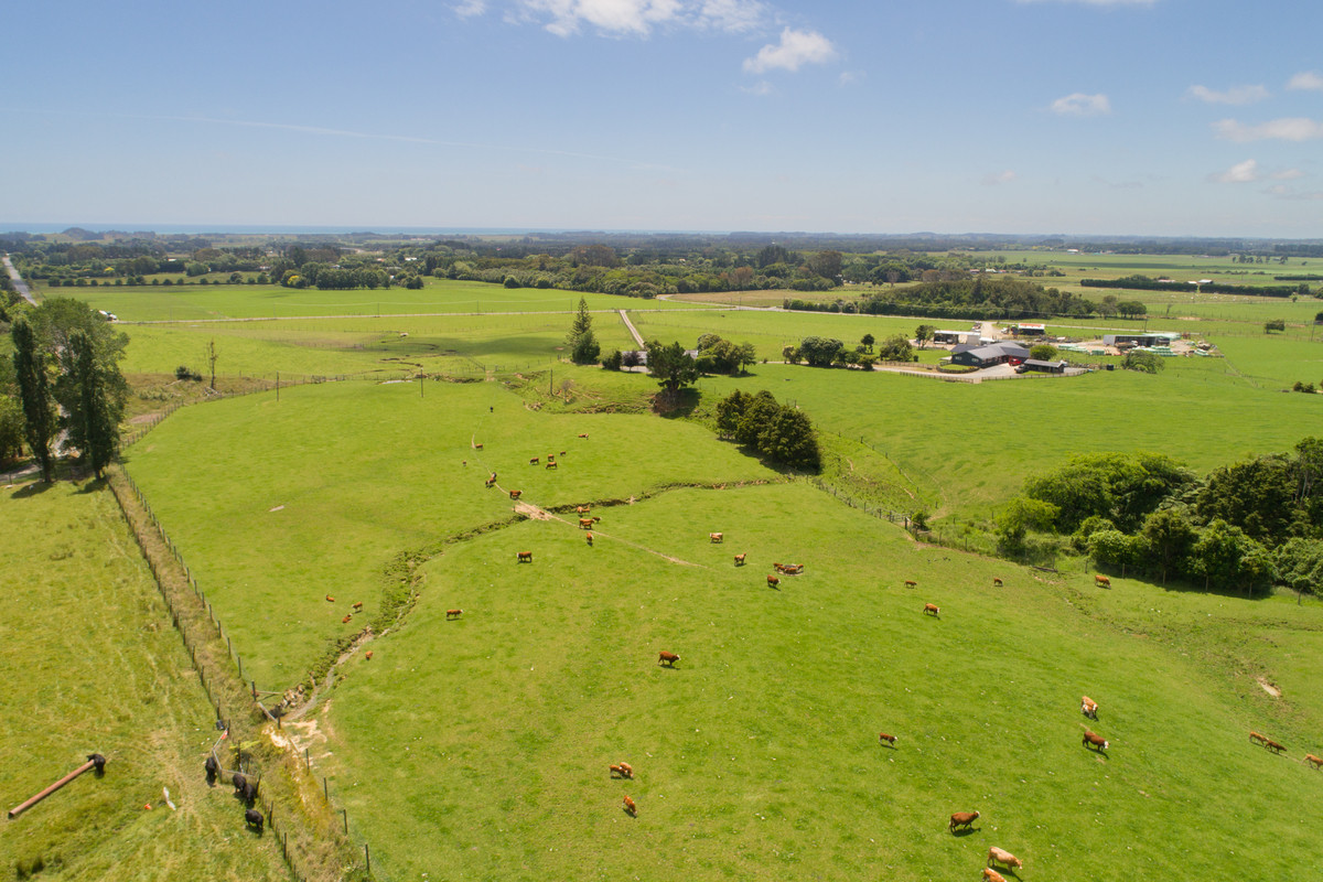 Two Homes, Big Sheds, Quality Land - 23.6ha (sts)