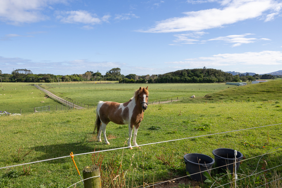 Two Homes, Big Sheds, Quality Land - 23.6ha (sts)