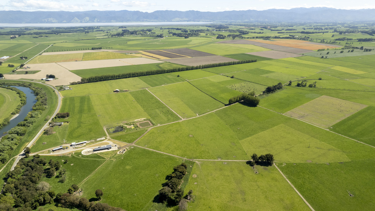 Location, Soils and Potential – Irrigated Dairy Farm